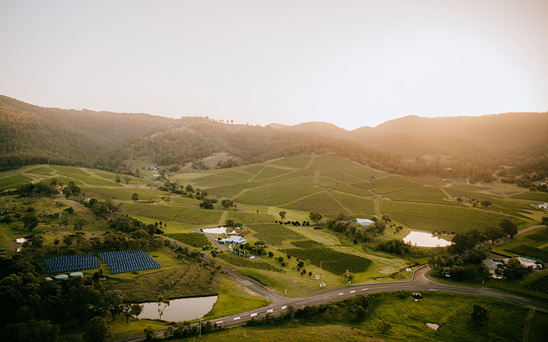 Hunter Valley Winery Image Gallery Ivanhoe Wines Pokolbin