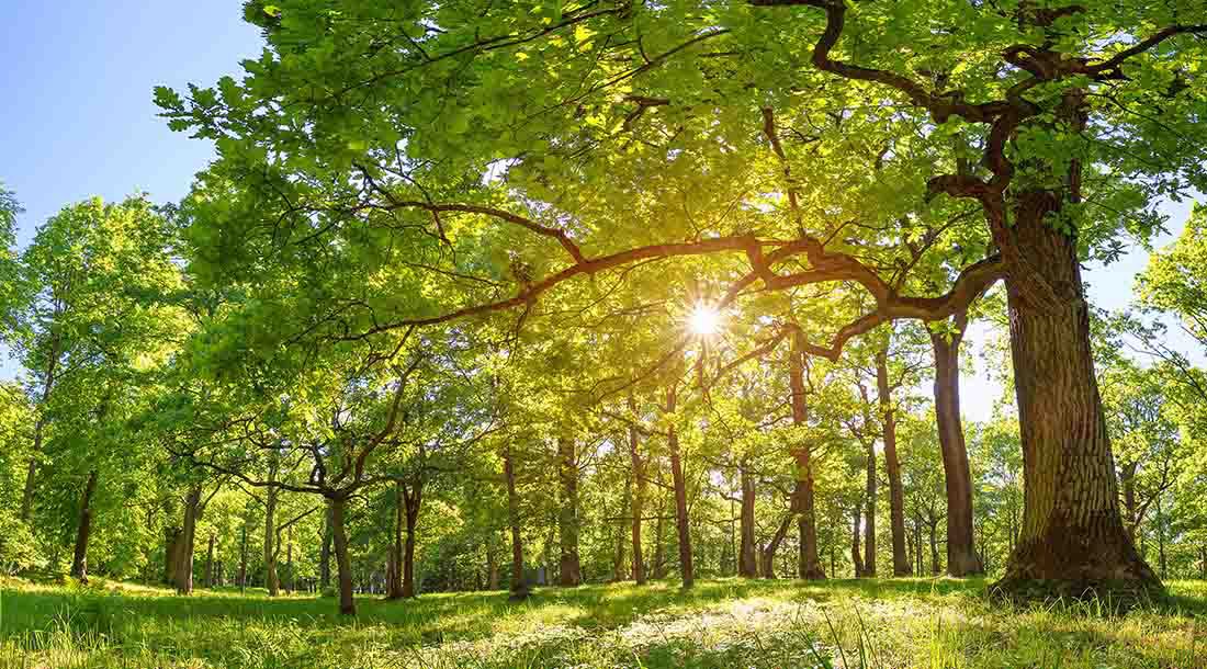 What is Legacy? Dr. Ivan Misner®