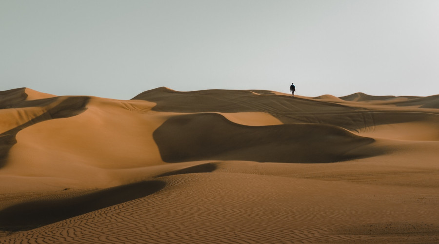 Is Arabic a Language You Should Learn? An Introduction