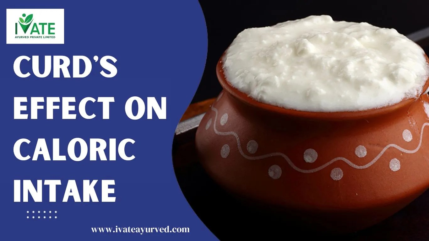 Is Curd Good for Weight Loss? How it will affect your journey