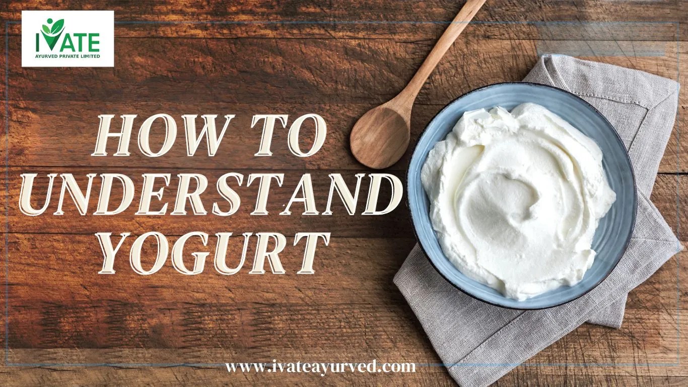 Is Curd Good for Weight Loss? How it will affect your journey