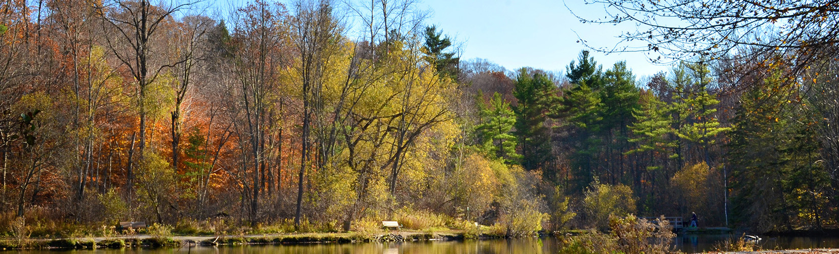 St Johns Conservation Area A Quaint Natural Spot in Fonthill » I've Been Bit! Travel Blog