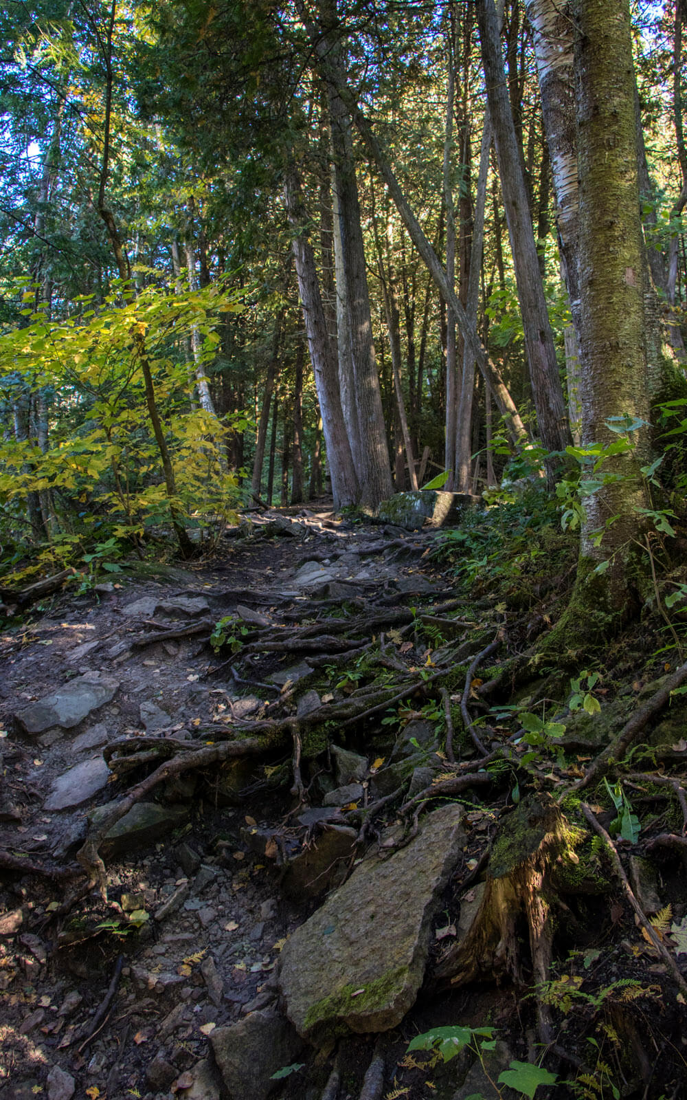 Visiting the Cheltenham Badlands & Belfountain Conservation Area » I've