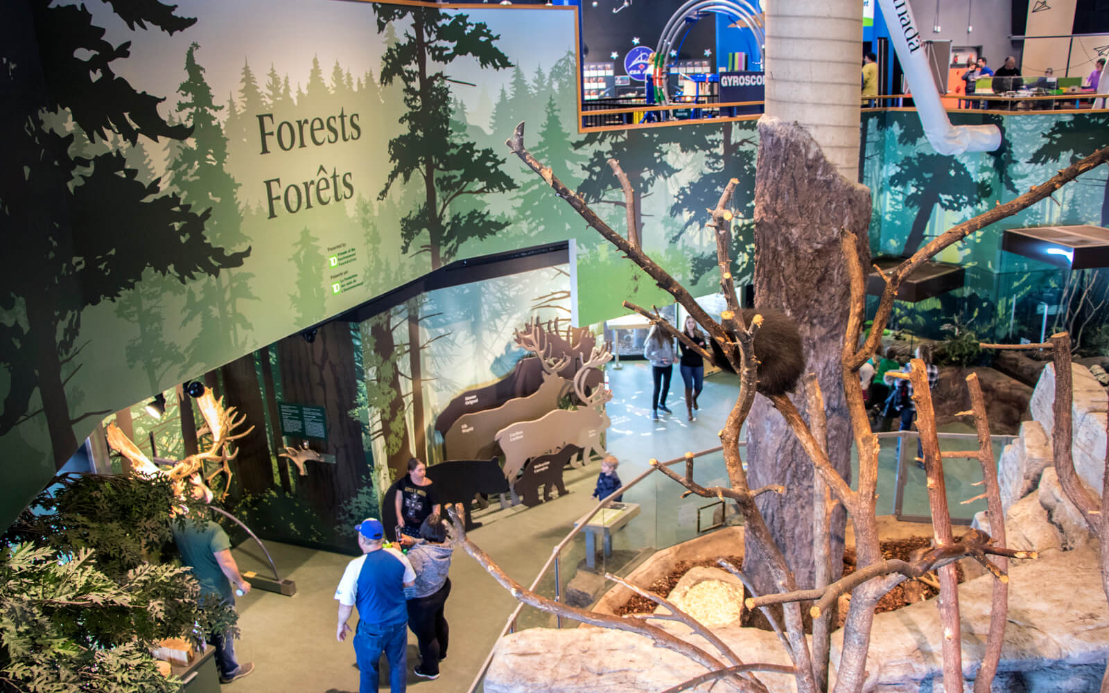 213InsideScienceNorth » I've Been Bit! Travel Blog