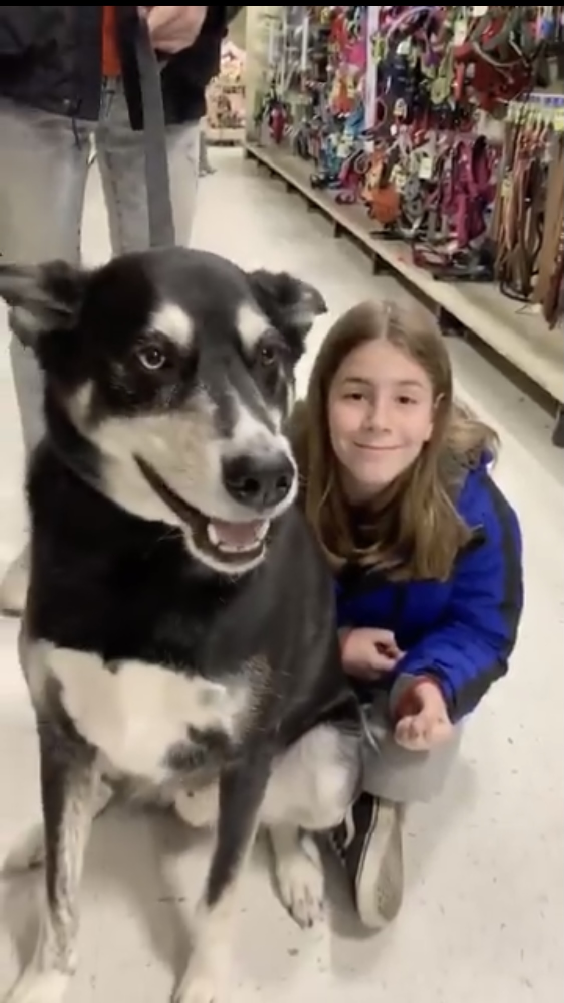 November 30, 2019 I've Pet That Dog!