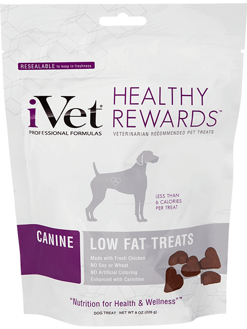 ivet dog food chewy Kickass logs Photogallery