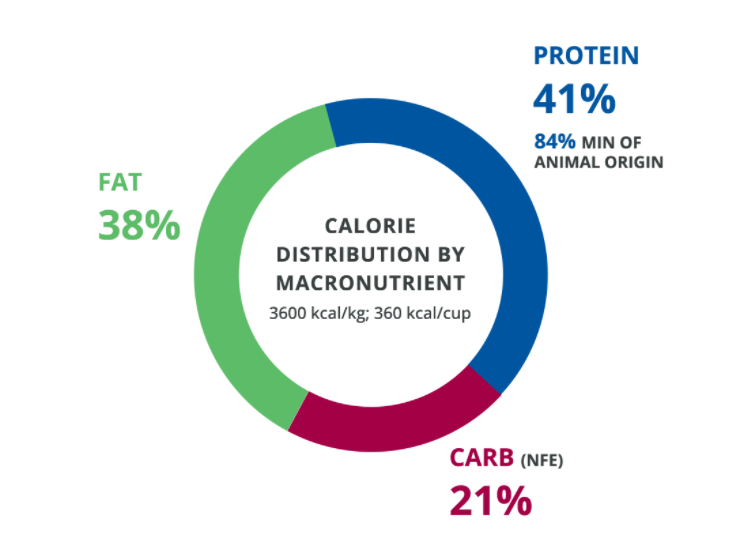 Pet Nutrition for Spayed and Neutered Cats iVet