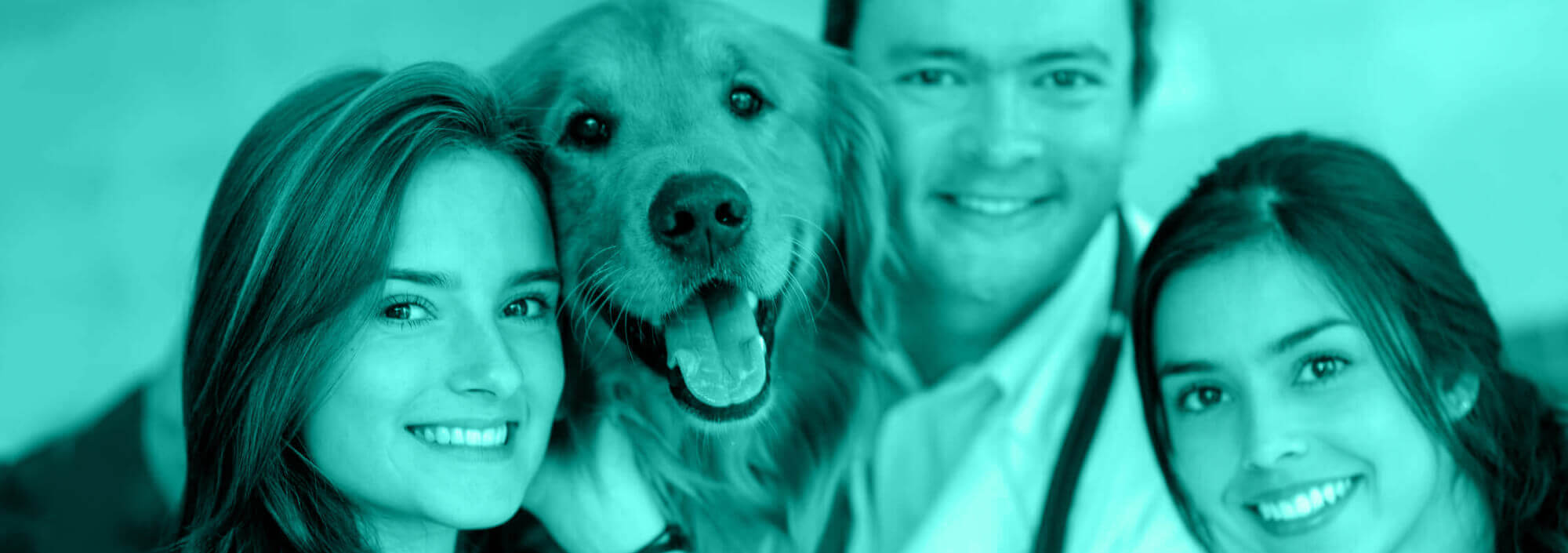 Five Essential Staff Development Tips for Veterinary Hospitals