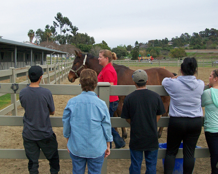Equine Assisted Learning Ivey Ranch Park Association 501(c)(3) Non