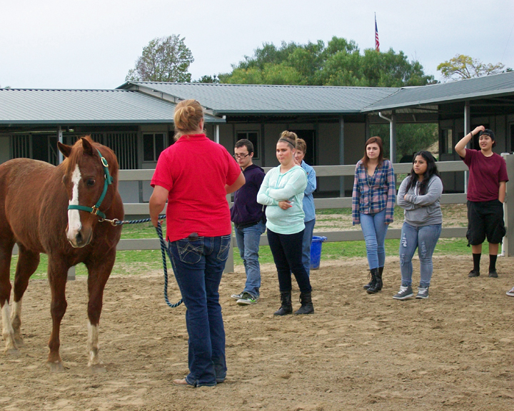 Equine Assisted Learning Ivey Ranch Park Association 501(c)(3) Non