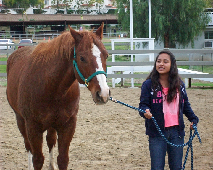 Equine Assisted Learning Ivey Ranch Park Association 501(c)(3) Non