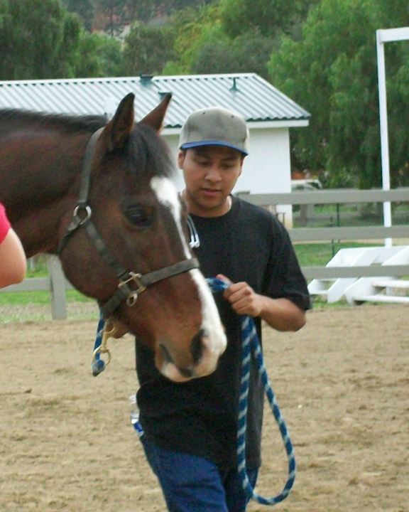 Equine Assisted Learning Ivey Ranch Park Association 501(c)(3) Non