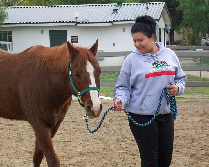 Equine Assisted Learning Ivey Ranch Park Association 501(c)(3) Non