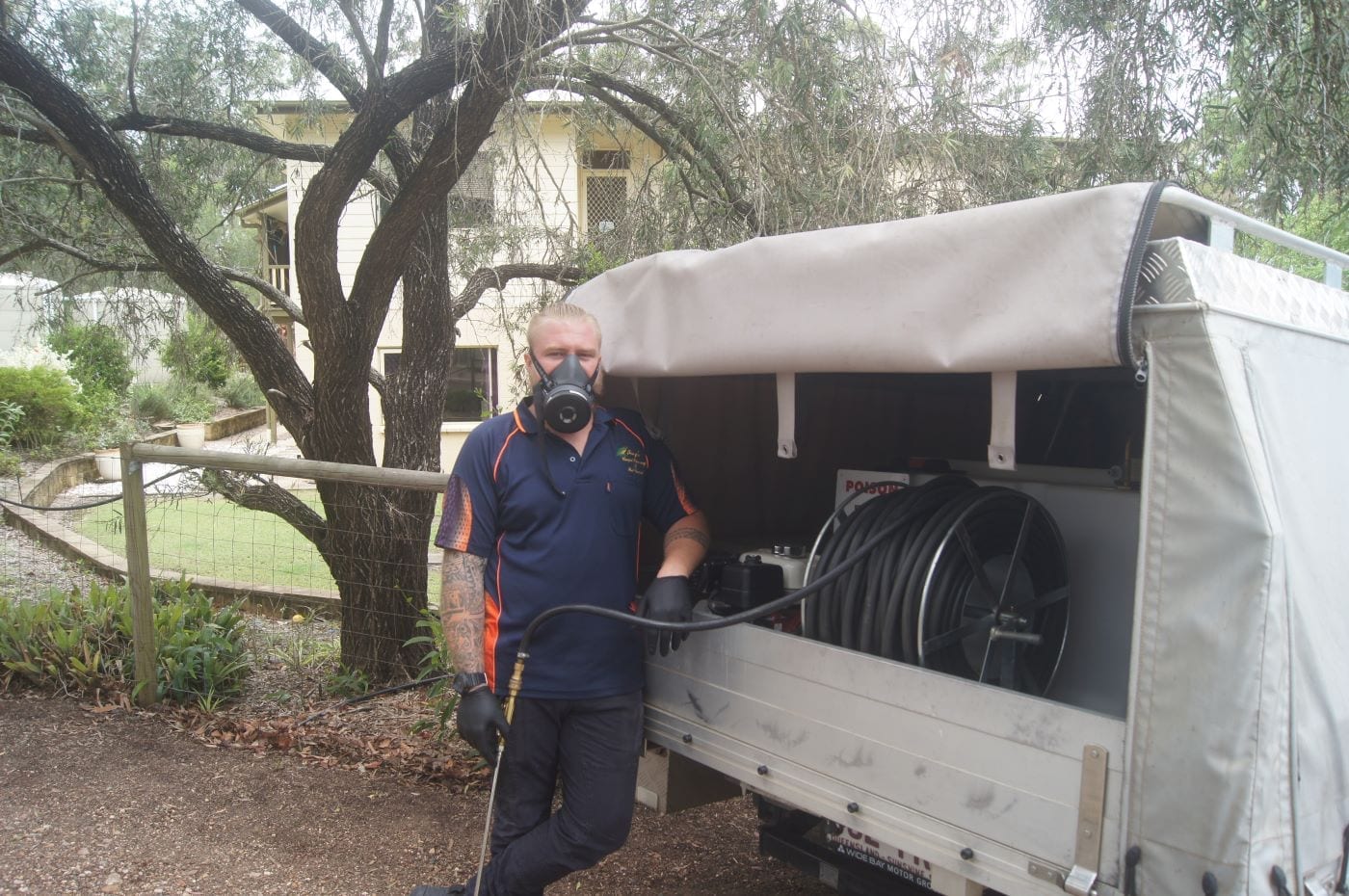 Hervey Bay Pest Control Ivey's Carpet Cleaning, Pest Contol and Termites