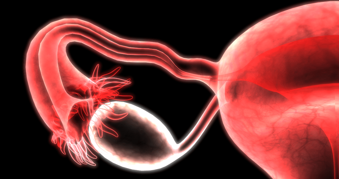 Induction of ovulation IVF