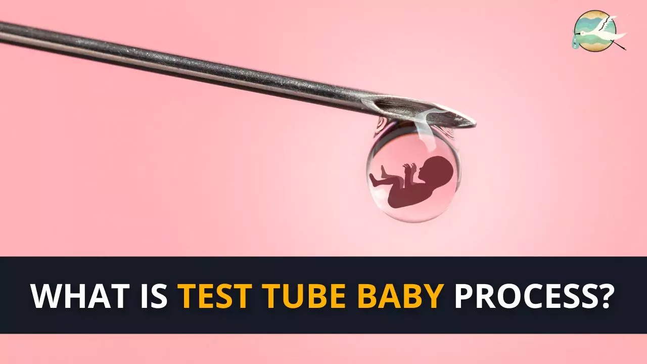 What is test tube baby process? IVFix