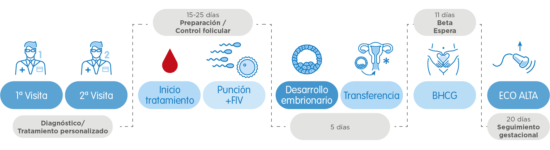 ¿Qué es Fecundación in Vitro (FIV)? IVI
