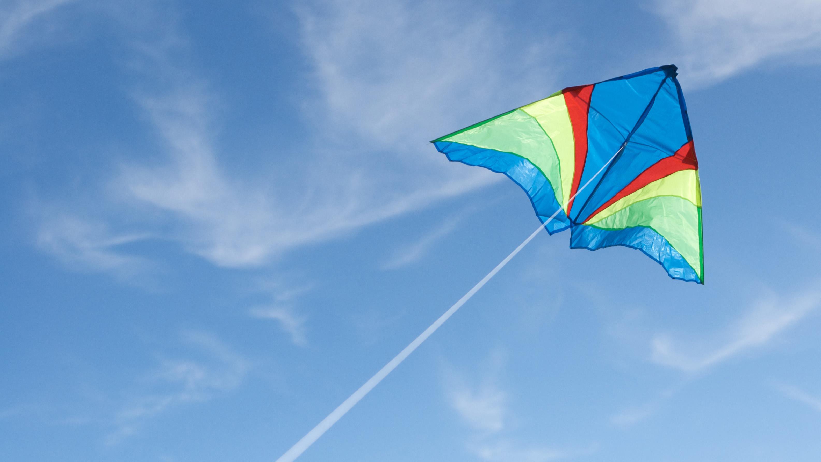 My Bamboo Kite Ivor.Plumber/Poet