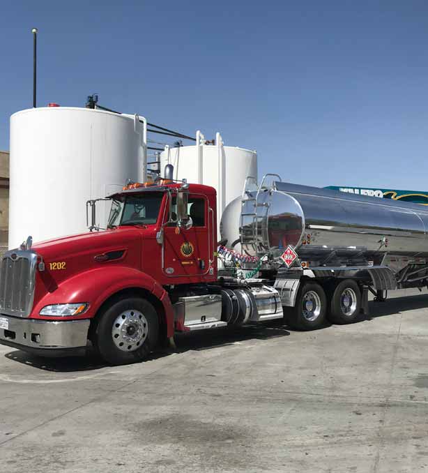 Services I.V. Petroleum Transport Inc.