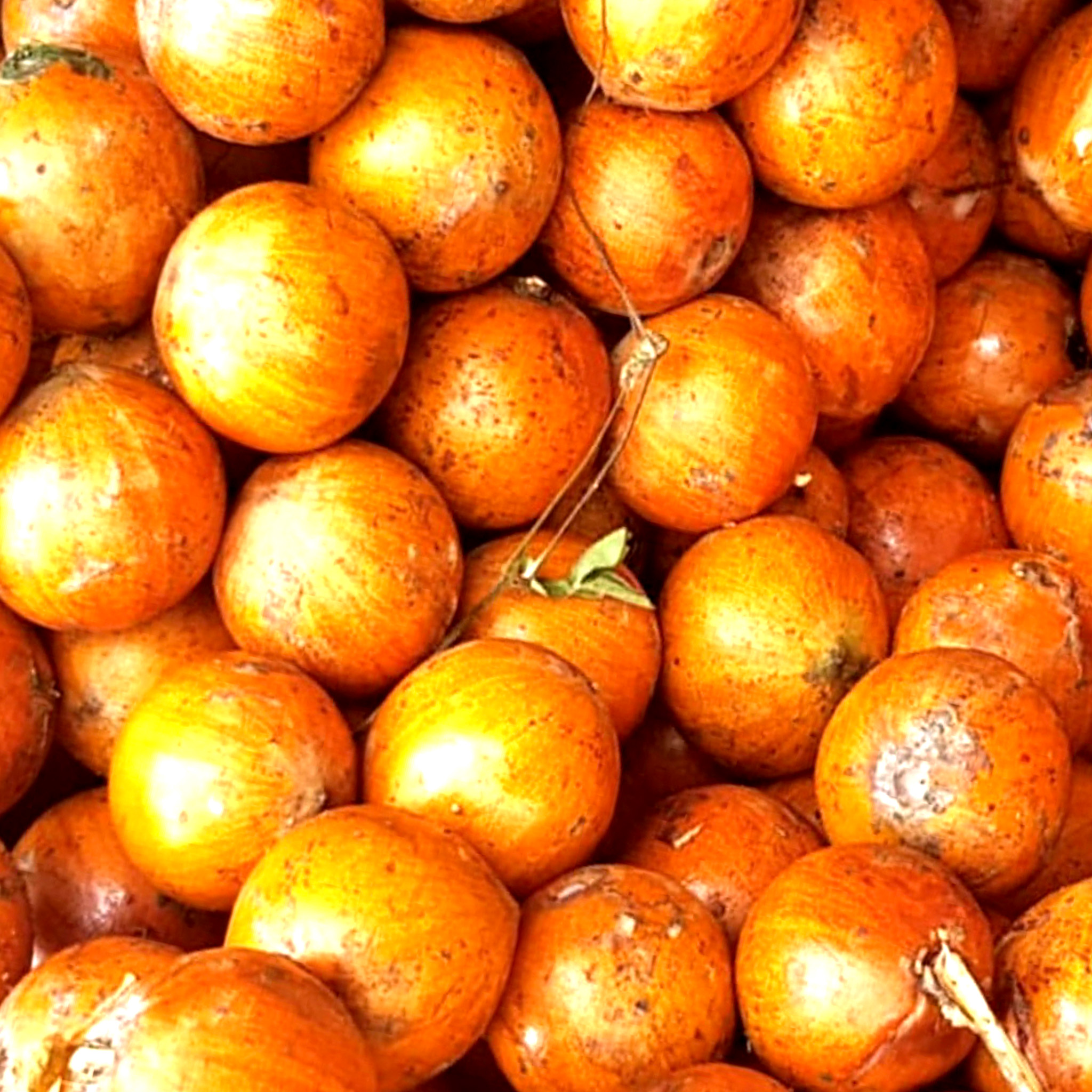 Ivrydbook Across Cultures Foods,Drinks, and Fun