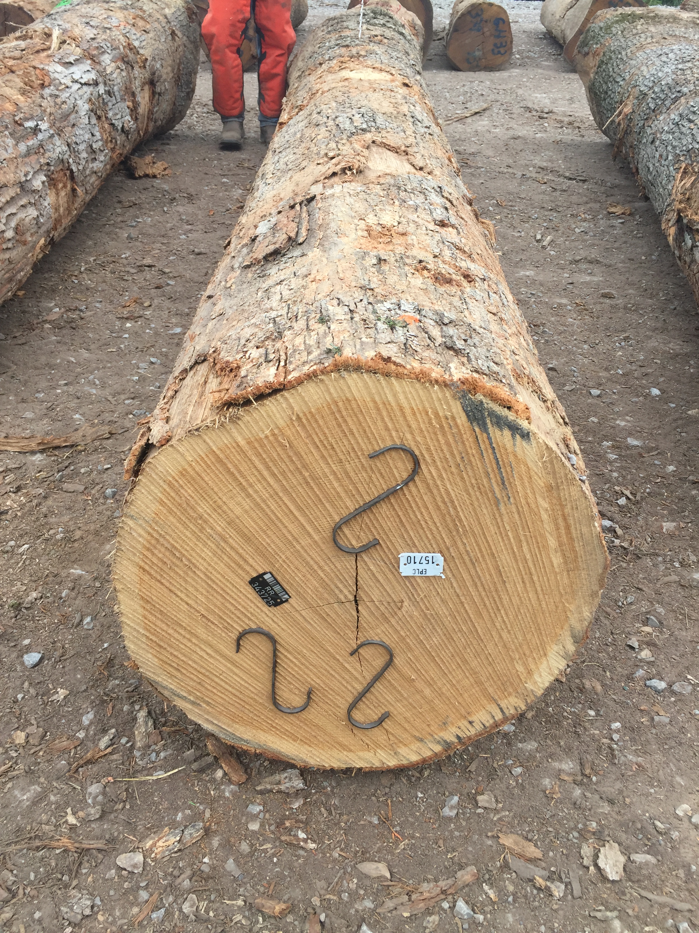 Photo Gallery IVT Logs