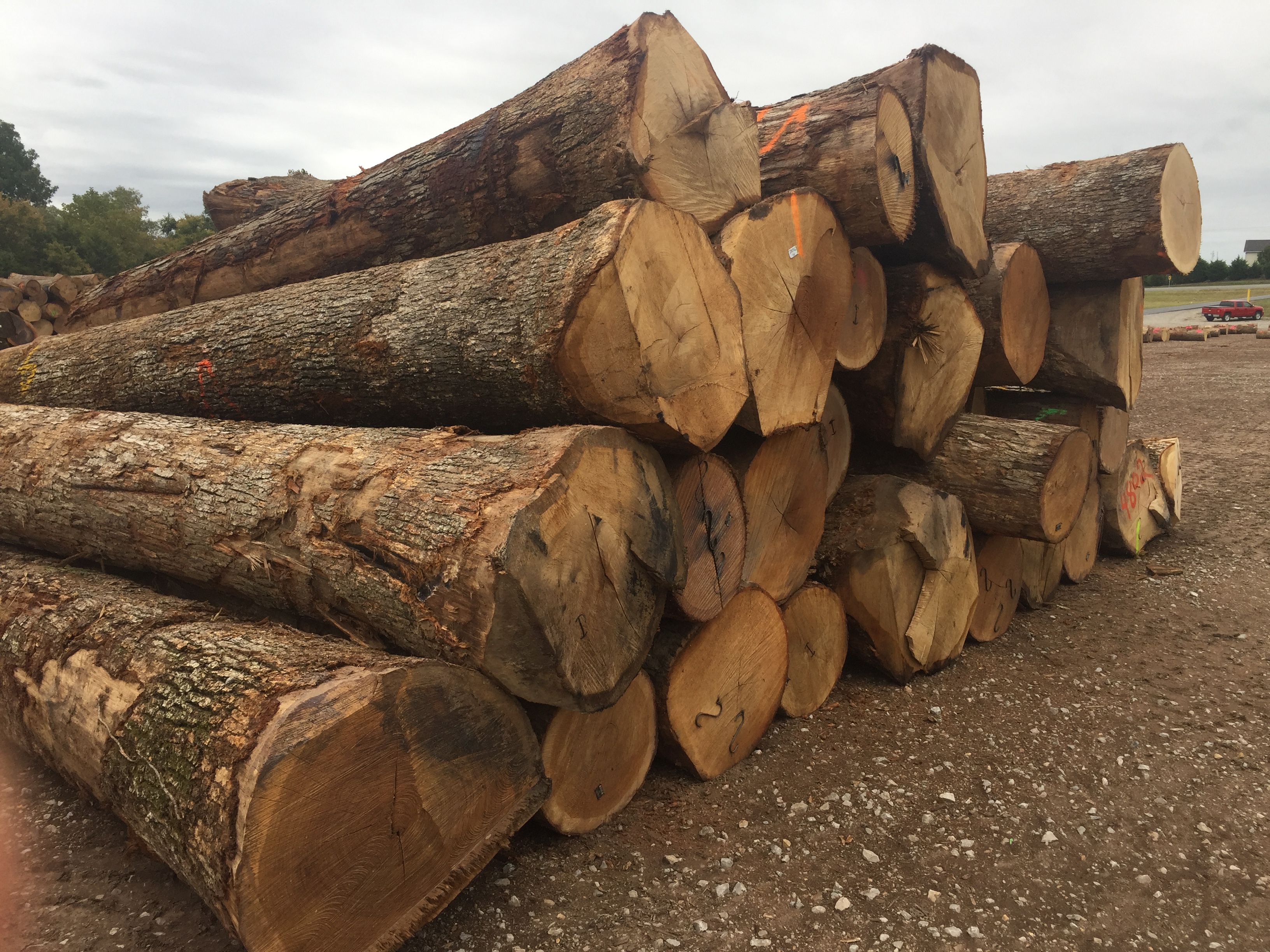 Photo Gallery IVT Logs