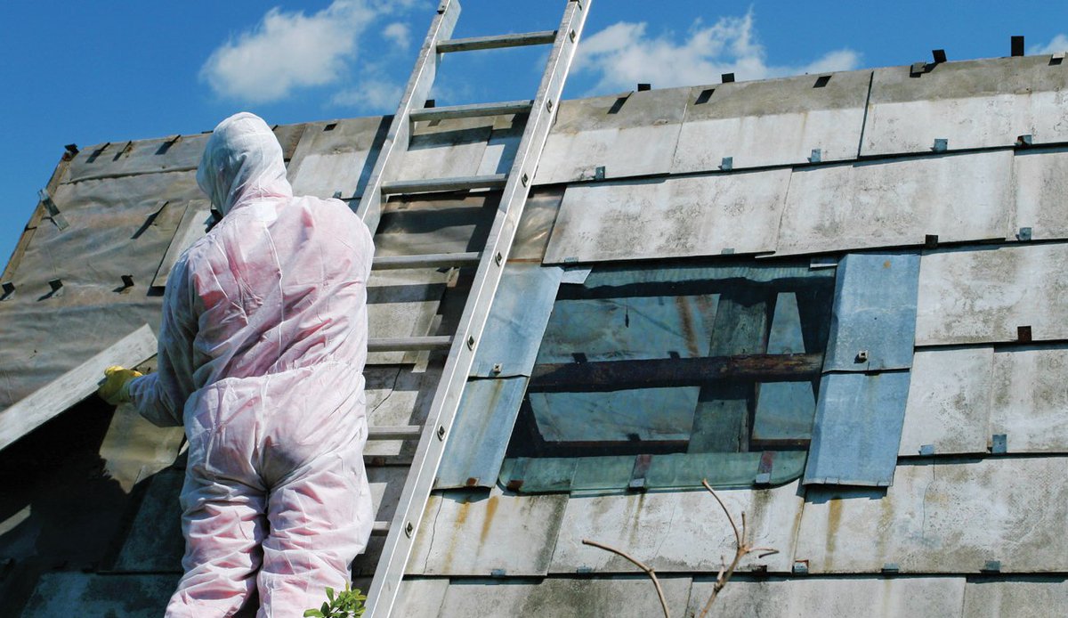 Three types of asbestos survey! Decide for which you should go Ivy