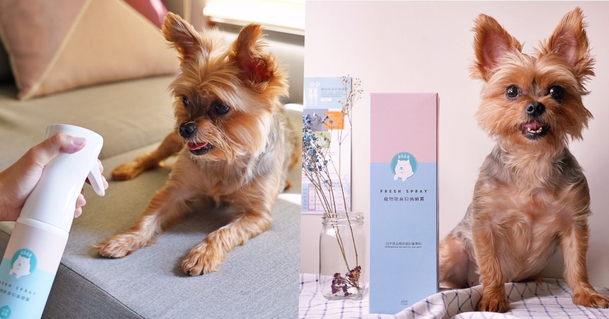 寵物除臭噴霧推薦，貓狗的尿味和身體臭味，用「阿貝家ABAE+」食用級除臭噴劑搞定！