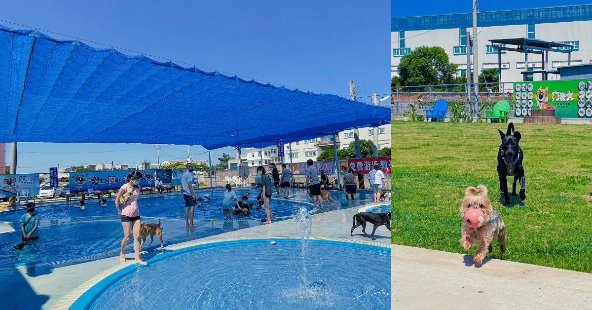狗老大寵物渡假會館 |桃園寵物友善餐廳，超大草皮、寵物泳池，還有寵物鮮食，讓狗狗盡情打滾放電！
