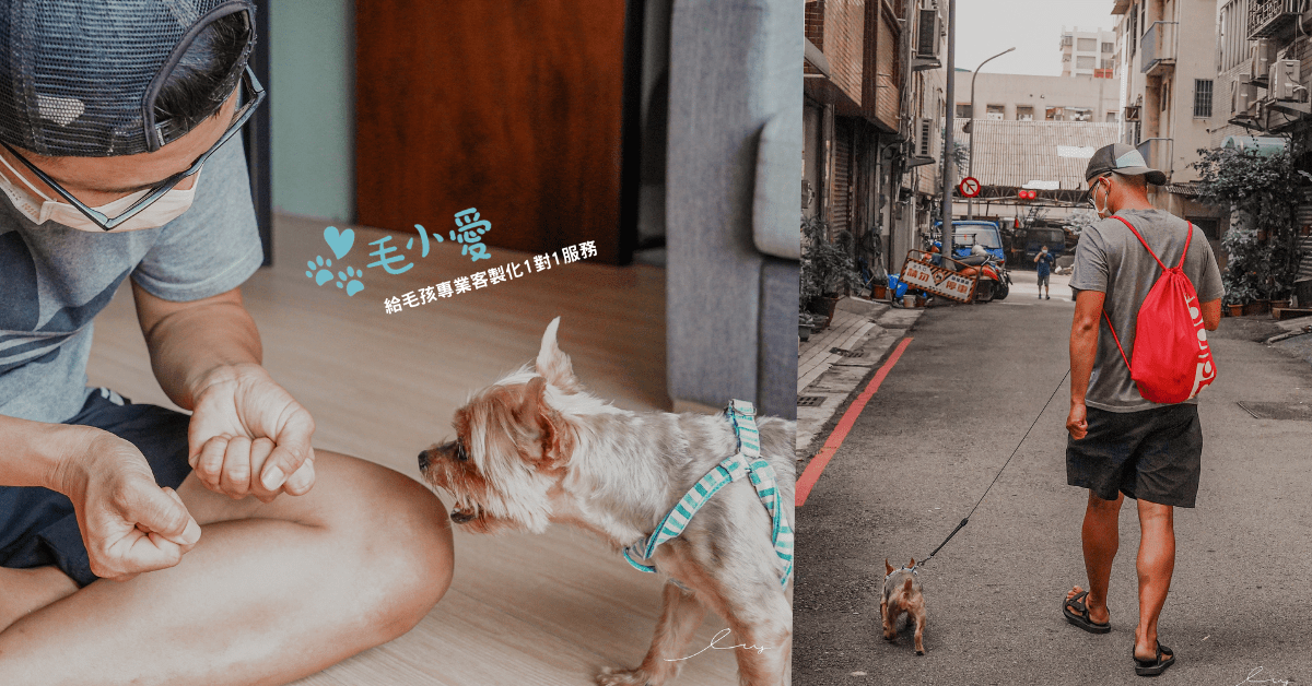 毛小愛寵物保姆平台 |全台最大專業的寵物保姆app，客製化1對1專業到府服務，不管是到府照顧,陪伴散步,到府洗澡美容,到府獸醫都有，在家就能照顧毛孩！