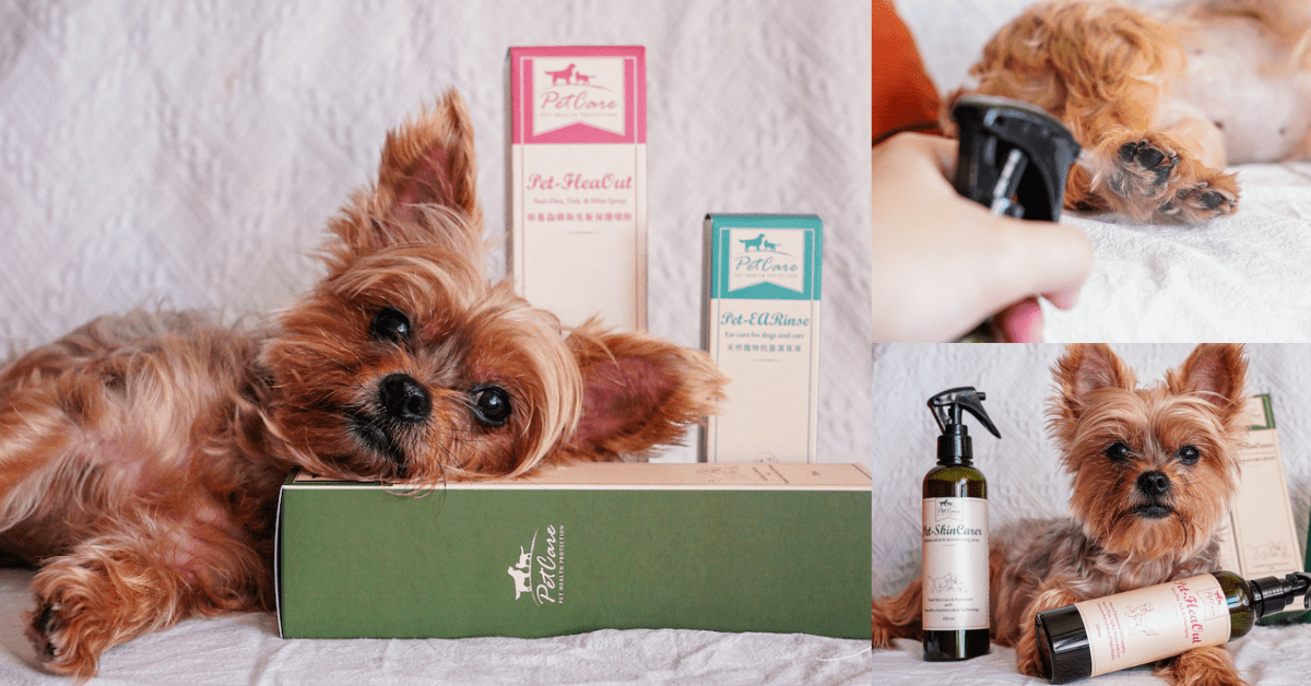 佩可爾PetCare寵物照護系列，成份天然無酒精、噴霧細緻不刺激，去黴除蚤潔耳一次搞定！