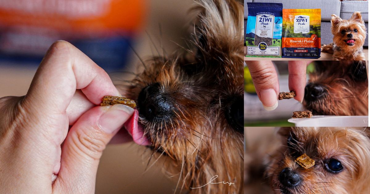 ZIWI巔峰狗飼料 | 狗狗挑食救星的寵物飼料，風乾肉片96%肉含量，適口性極佳，每天都吵著吃飯！