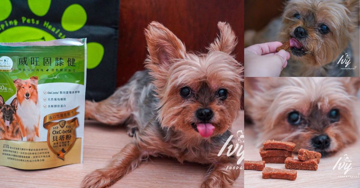 威旺WeWant固膝健 |狗狗關節保養食品推薦，用新鮮雞肉製成、加拿大專利貝塔粉，讓狗狗也愛上吃寵物保健品！