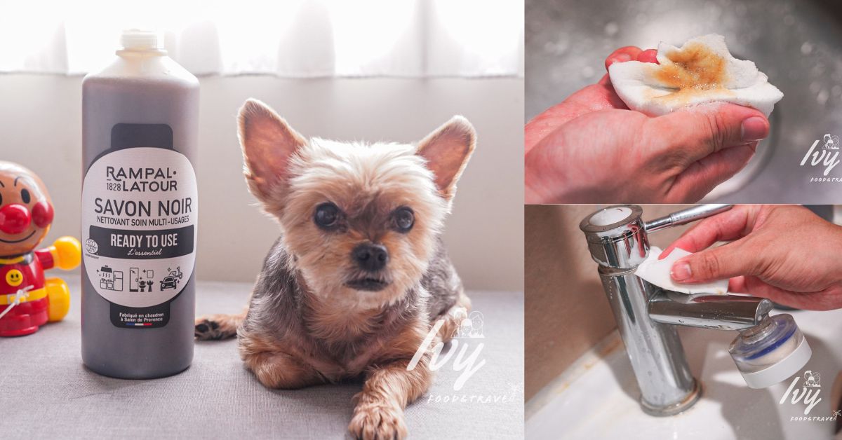 南法香頌 速潔橄欖油黑肥皂 |萬用清潔劑推薦，水垢、油污、汽車等你想得到都能清潔，還能當寵物洗毛精！