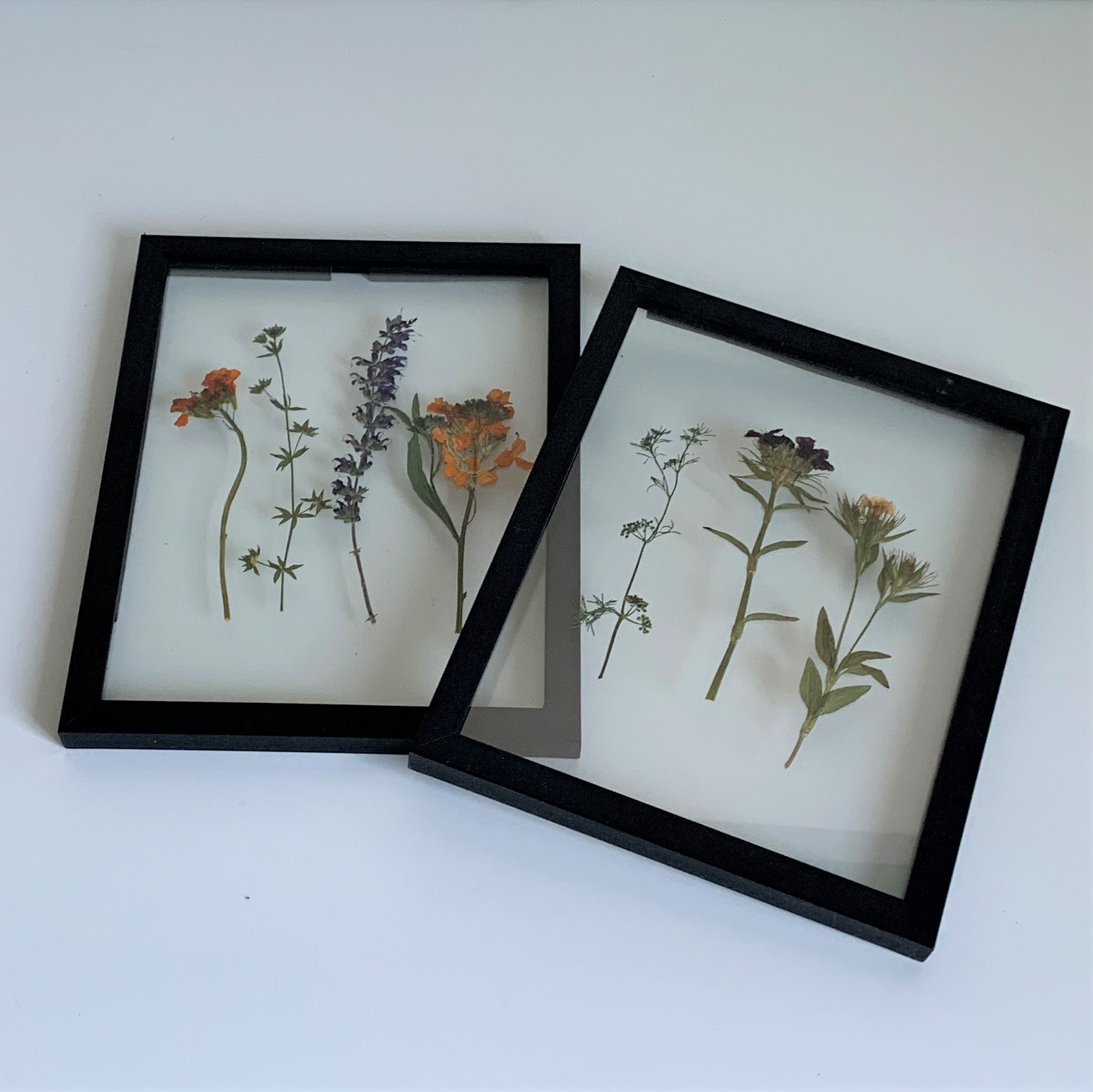 DIY Framed Dried Flowers Ivy&Iron