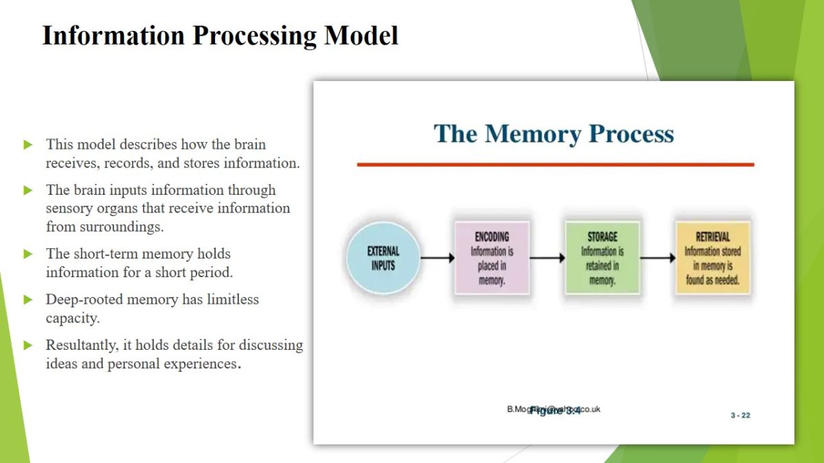 Information Processing and Improving Learning and Memory 1167 Words