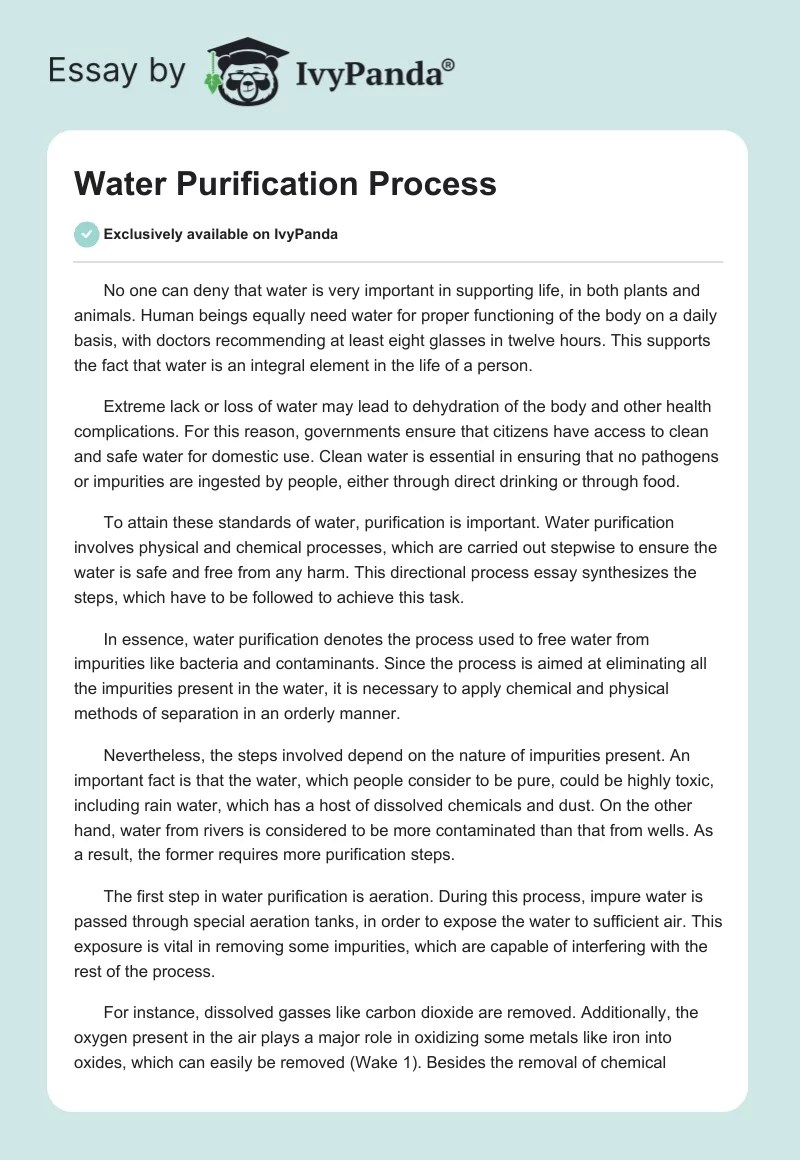 Water Purification Process 1095 Words Essay Example