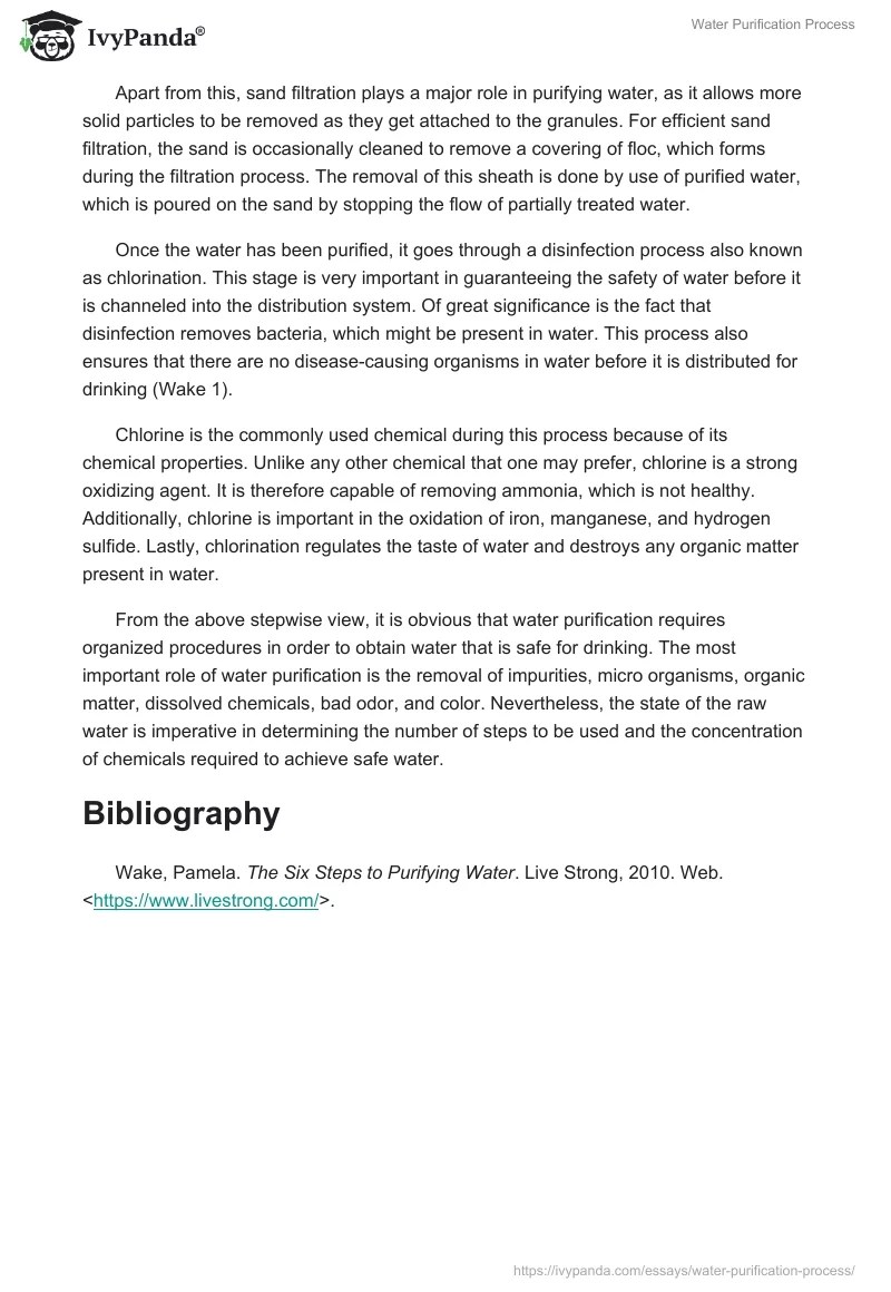 Water Purification Process 1095 Words Essay Example