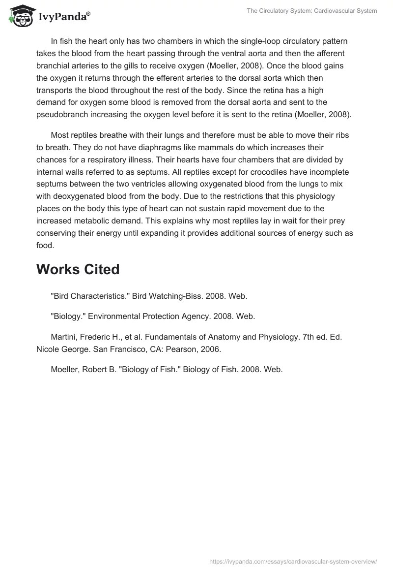 Cardiovascular System Overview 1082 Words Essay Example