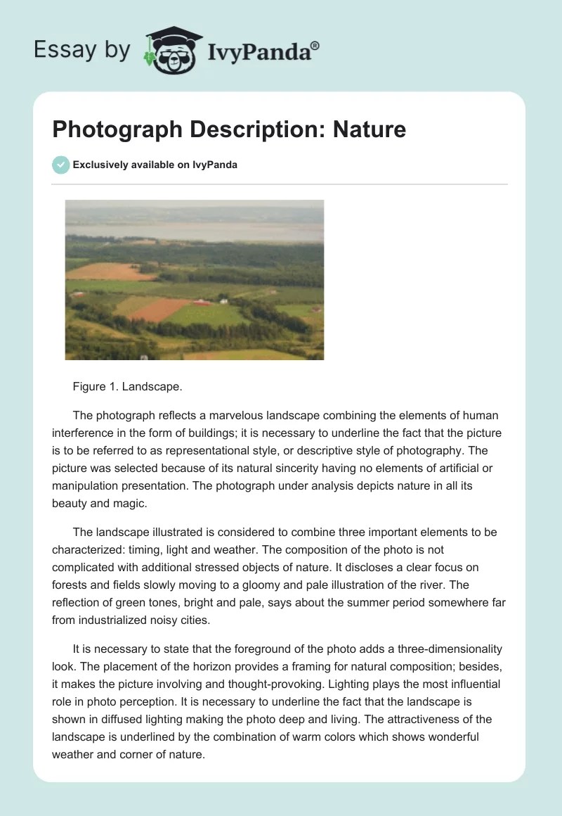 Photograph Description Nature 465 Words Essay Example