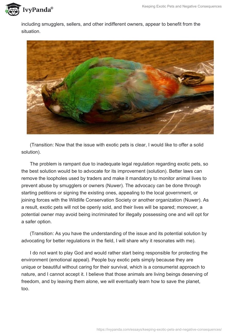 Keeping Exotic Pets and Negative Consequences 547 Words Essay Example