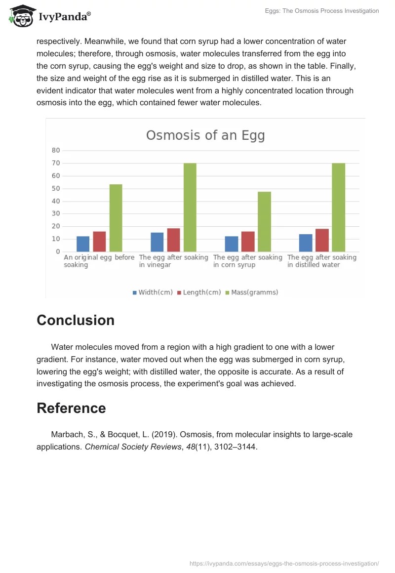 Eggs The Osmosis Process Investigation 421 Words Essay Example