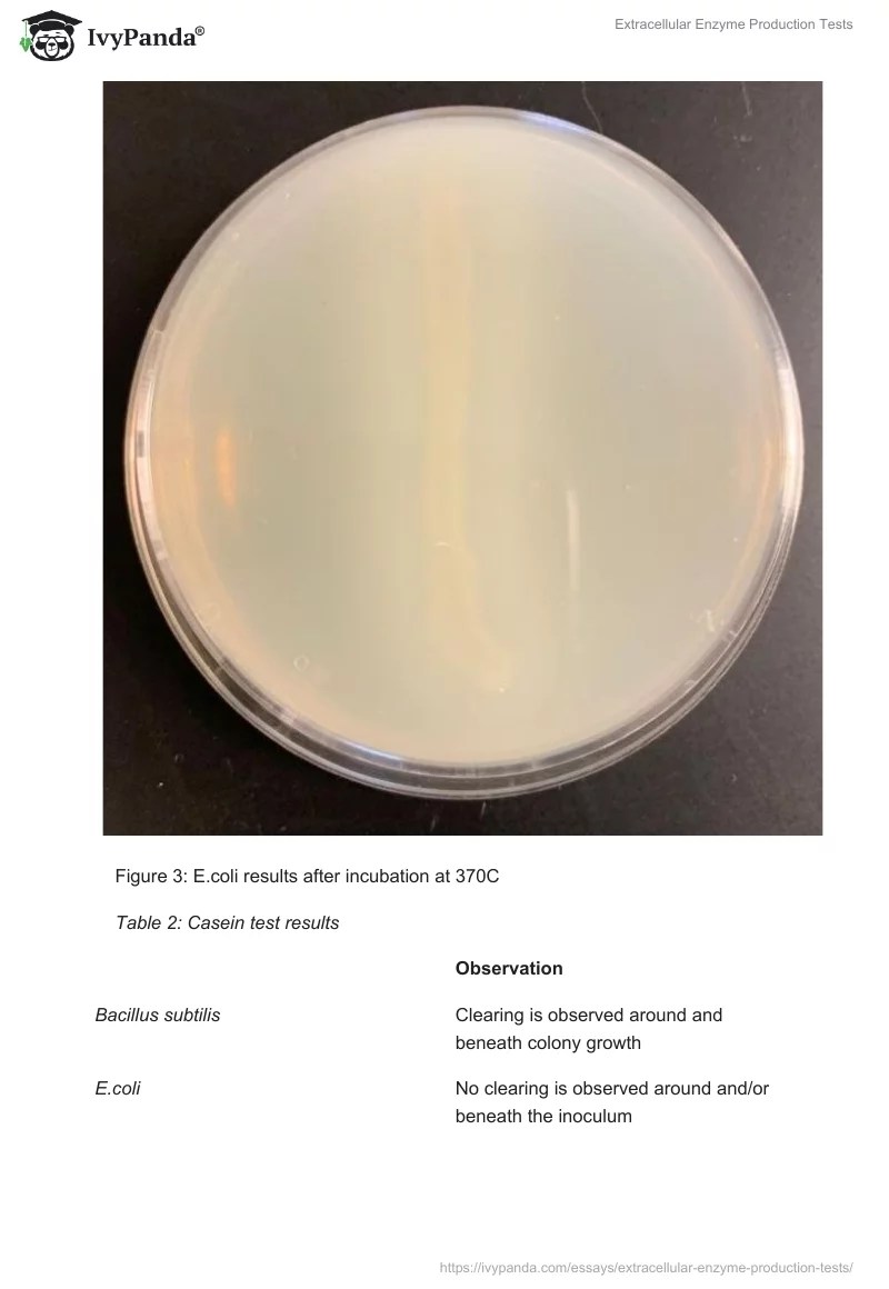 Extracellular Enzyme Production Tests 1178 Words Report Example