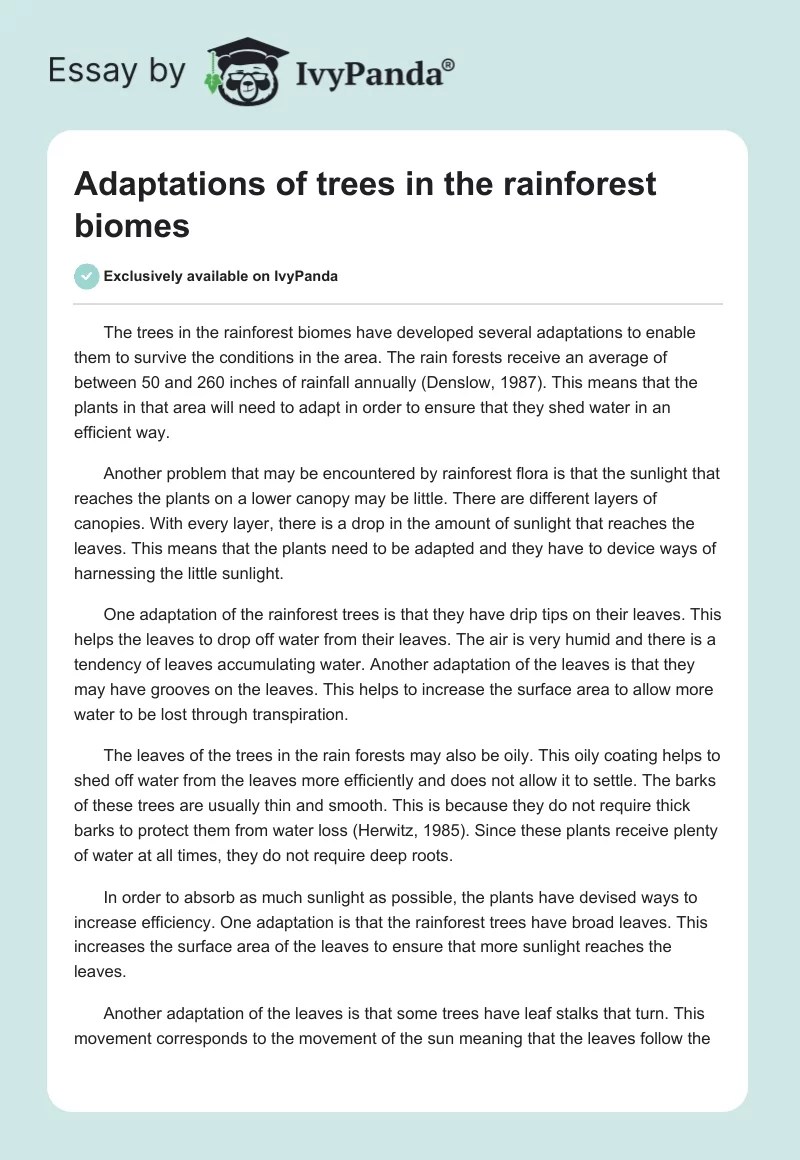 Adaptations of trees in the rainforest biomes 566 Words Essay Example
