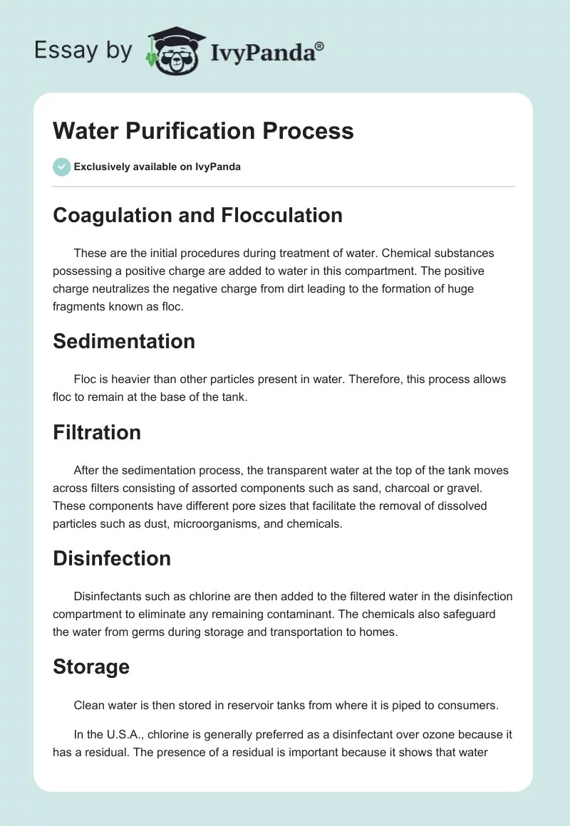 Water Purification Process 404 Words Essay Example
