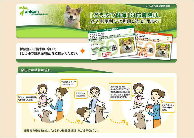 動物保険 アイビーペットクリニック 大和市中央林間の動物病院｜腫瘍・がん・皮膚科・眼科