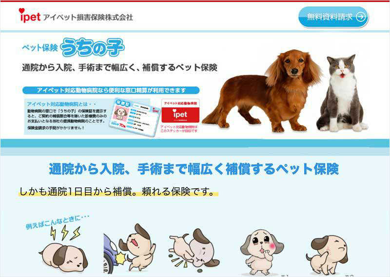 動物保険 アイビーペットクリニック 大和市中央林間の動物病院｜腫瘍・がん・皮膚科・眼科