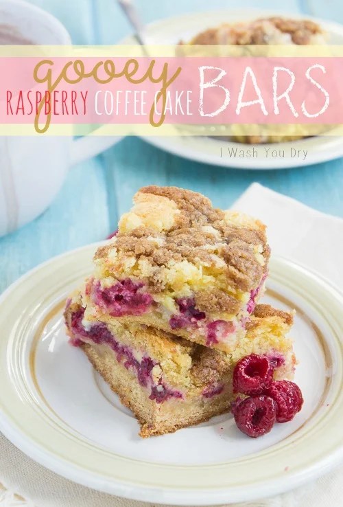 Gooey Raspberry Coffee Cake Bars I Wash You Dry