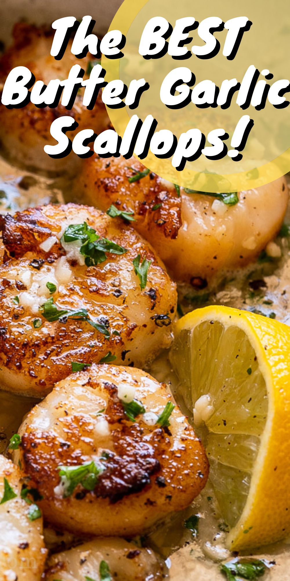 Buttery Garlic Seared Scallops I Wash You Dry