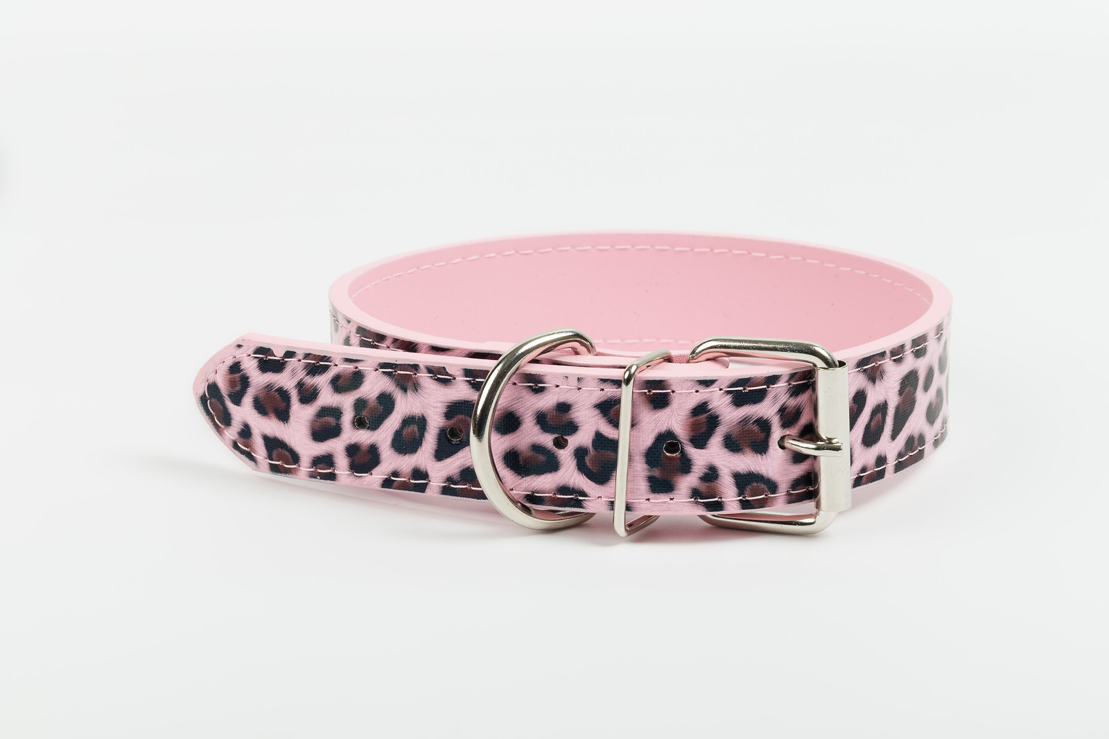 Wild Designer Dog Collar by in Designer Dog Collars
